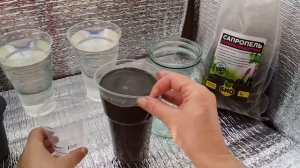 ЖИДКАЯ подкормка из САПРОПЕЛЯ для рассады