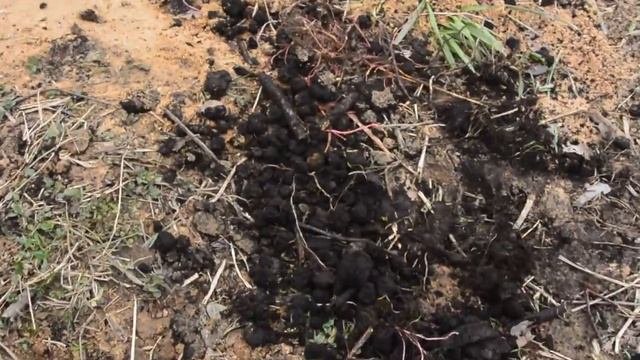 Парковка на даче часть 3 смотреть онлайн