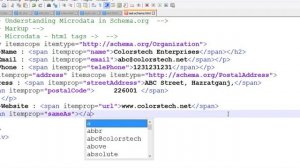 Schema.org Markup - Microdata and JSON-Ld Code Implementation