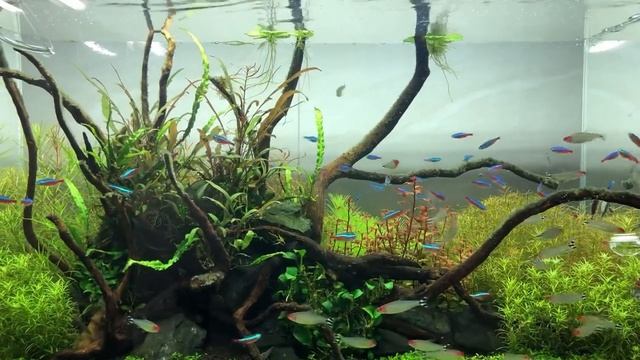 Прекрасная фоновая музыка. Сон. Отдых. Работа. Релакс. смотреть онлайн