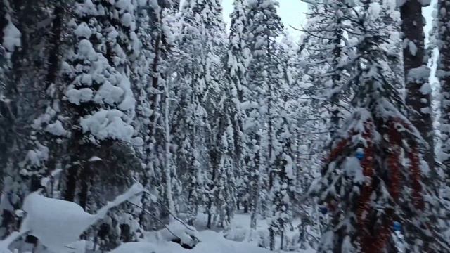 Костомукша зимой, -25