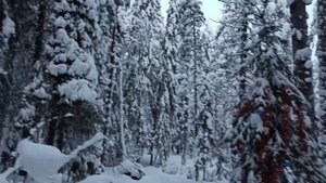 Костомукша зимой, -25