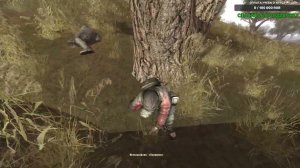 сталкер Побег из зоны GUNSLINGER Уловимый мститель СВД