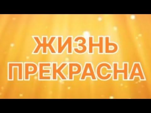 Сотворяю состояние радости. #настроениедня #счастьевнутри #позитив #позитивно