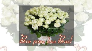 Виктор Королёв.Букет из Белых Роз.Монтаж от Veroniki.