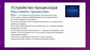 Информатика. 8 класс. Процессор и его характеристики /24.09.2020/