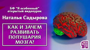#Нейропсихология. Зачем и как развивать ребенку полушария мозга? Наталья Садырова. Дружба полушарий.