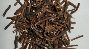 Корень сабельника болотного.