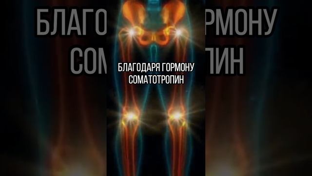 Как стать выше? смотреть онлайн