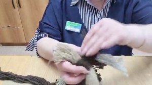 Изготовление поделок - птиц