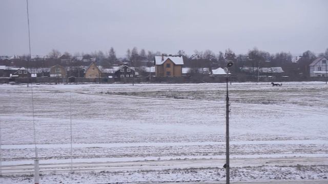 Заезд для лошадей рысистых пород 2015 г.р. смотреть онлайн