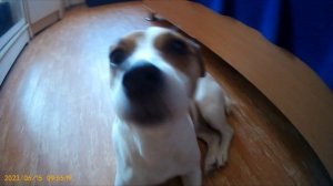 24 часа без телефона челенндж