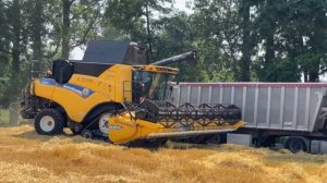 Уборка ячменя 2023г. Комбайн New Holland CR8.90.