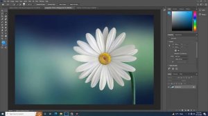 Magic Wand tool Quick Selection Tool Photoshop 2020 Class 05