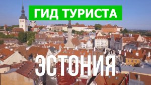 Путешествие в Эстонию | Город Таллин, Тарту, Нарва, Пярну | Видео 4к | Эстония что посмотреть