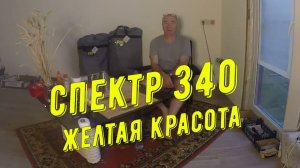 Спектр 340. Желтая красота и скег