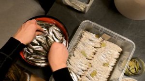 Sprat of spicy salting /РЕЦЕПТ Килька пряного посола / КАК ОТЛИЧИТЬ КИЛЬКУ ОТ САЛАКИ?