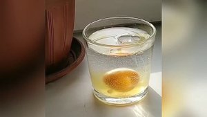 Ритуал от зависти Заговор на Яйцо от зависти людской