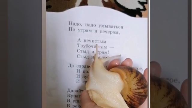 Трубчевская детская библиотека МБУК «МЦБ Трубчевского района». Книги К. Чуковского смотреть онлайн