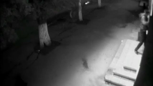 Орск недоумки 002 смотреть онлайн