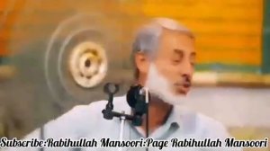 Саидуль-Истигфар Шайх Пурдил.