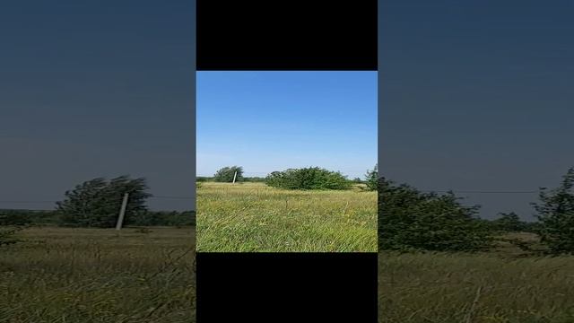 Подсолнухи и пейзажик