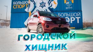 Городской хищник _ TOYOTA PASSO