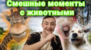 Смешные моменты с животными