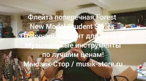 Флейта поперечная Forest New Model! Где купить флейту?| Мьюзик-Стор| musik-store.ru/#флейта #купить