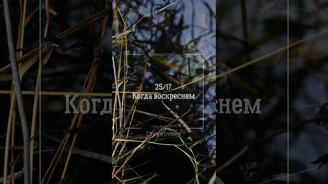25/17 - Когда воскреснем (piano cover by Dneprovsky) смотреть онлайн