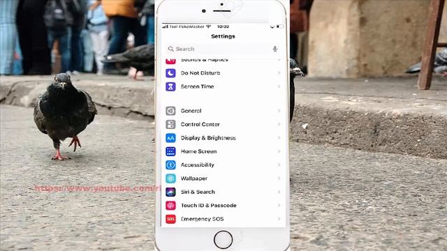 iPhone 7 : How to enable or disable Show Notification badges in App Library смотреть онлайн