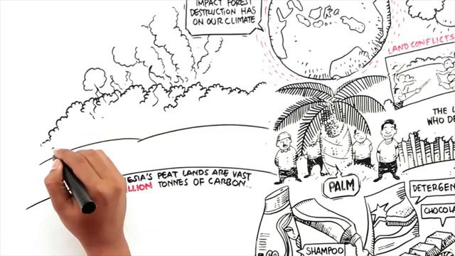 Protect Paradise: An Animation about Palm Oil смотреть онлайн
