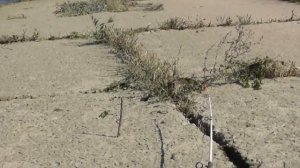 Рыбалка на Волге в г. Волжском 1 Часть