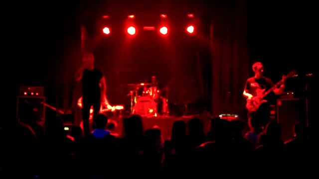 Euglena - live смотреть онлайн