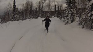 борсики