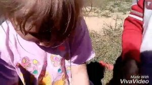 Челэндж со связанными руками скотчем @_@