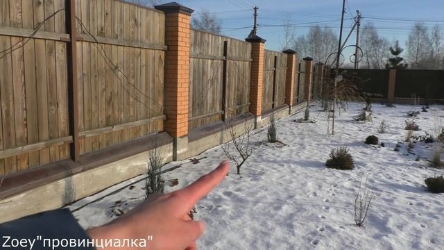 Зимний цветник/ Розы БЕЗ укрытия/ Новый миксбордер/#### смотреть онлайн