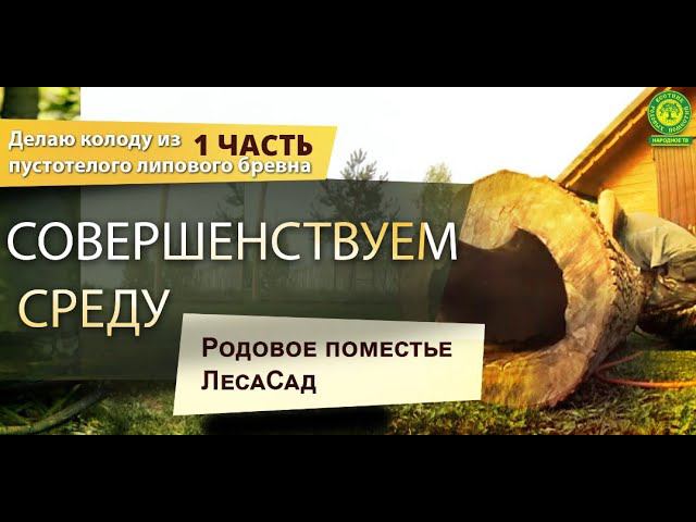 Делаю колоду из пустотелого липового бревна1