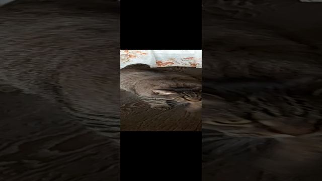 ты змий смотреть онлайн