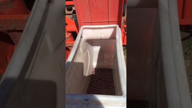 Сев подсолнечника по No-Till сеялкой GASPARDO MTR-8