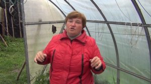 Замена поликарбоната на плёнку. Три года-полёт нормальный!