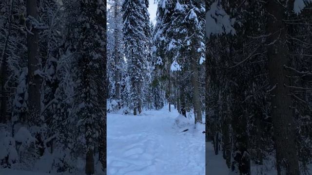 Линдуловская роща