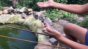Рыбалка на своём пруду. И подумать не мог что в этой луже будешь такой клёв !!! ОТОРВАЛСЯ ПО ПОЛНОЙ