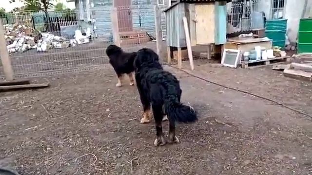 9 июля 2022 г. смотреть онлайн