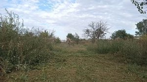 stihl fs 450 ,покос осенний травы леска 3,3 круг .
