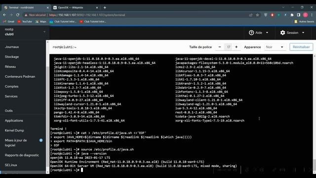 Comment Installer Java OpenJDK 11 sur CentOS Linux. смотреть онлайн