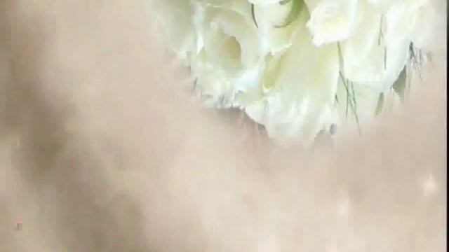 Салават + Диана смотреть онлайн