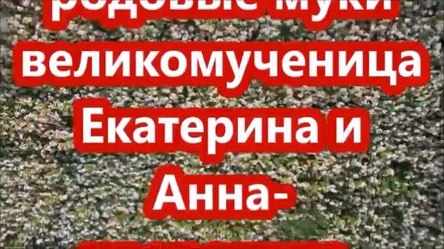 СВЯТЫЕ ЦЕЛИТЕЛИ И ИЗБАВИТЕЛИ ЛЕЧАТ ВСЁ БОЛЕЗНИ КОТОРЫЕ ДОКТОРА НЕ МОГУТ ВЫЛЕЧИТЬ!✝☦