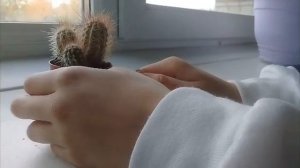 АСМР В ПОДЪЕЗДЕ // ASMR IN ENTRANCE