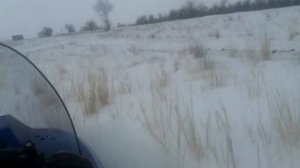 покатушки на снегоходе рысь 2017